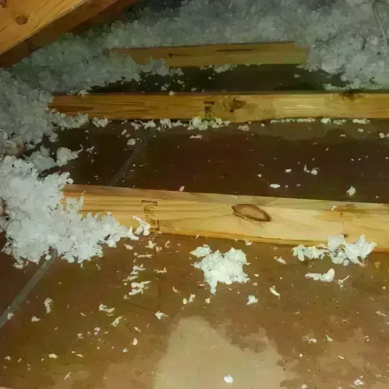 Attic Water Damage in Pinehurst, MA